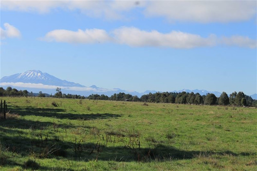 Imagen 30 de 30 de Agrícola En Venta En Puerto Varas