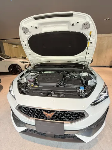 Cupra Leon 300Hp