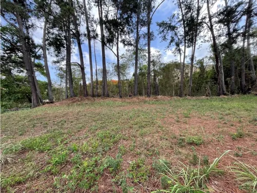 Terreno En La Lagunita