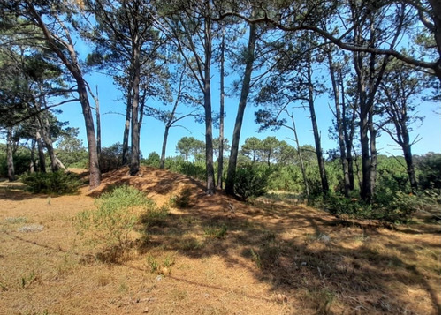 Imagen 5 de 7 de Terreno En Venta En Barra Verde