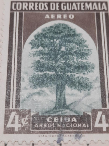 Estampilla Guatemala    Árbol Nacional     0320     A3
