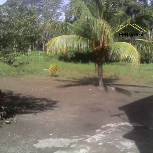 Parcela En Venta Vía Chuspa La Guaira Con Bienhechurias Y Siembra