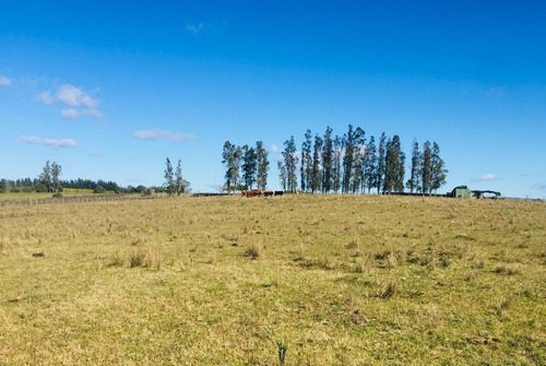 Vendo Campo Sobre Ruta 39 A 20 Minutos De Punta Del Este