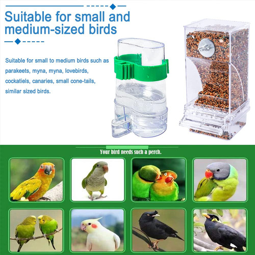 Set De Comedero Y Dispensador De Agua Hamiledyi Para Loros