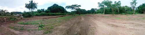 Venta Terreno 5,000 A 30,000 M² Frente Al Río Juana Moza Tuxpan Veracruz