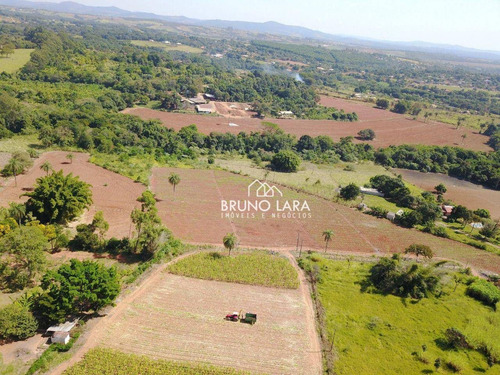 Imagem 24 de 30 de Sitio À Venda Em Igarapé Bairro Batatal - Si0094