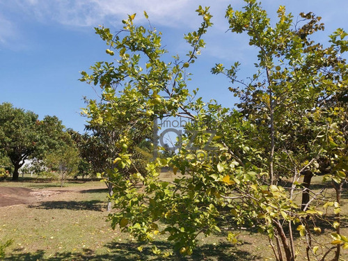 Chácara Com 5 Dormitórios À Venda, 4920 M² Por R$ 2.340.700,00 - Vale Das Laranjeiras - Indaiatuba/sp - Ch0240