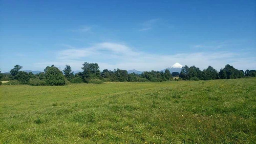 Parcelas En Frutillar, Bosque Y Praderas. Financiamiento