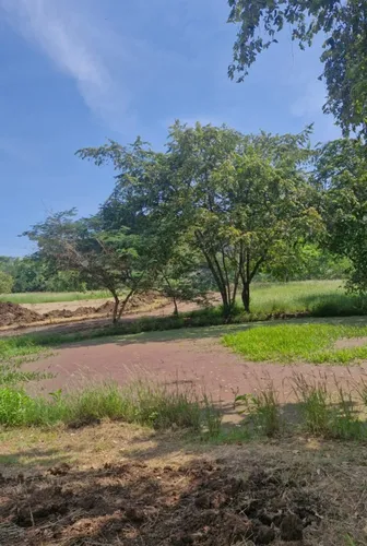 Venta Lotes En Agua De Dios