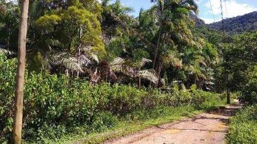 Imagem 5 de 14 de Chácara Com Árvores Frutíferas Em Peruíbe Litoral - 6455 Npc