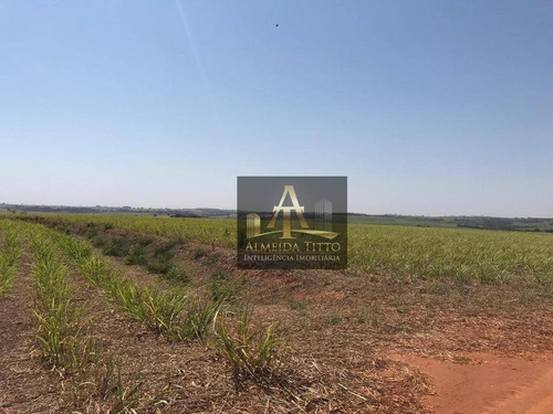 Imagem 3 de 18 de Excelente Fazenda Para Venda Em Nipoã - Sp - Confira!!!! - Fa0056