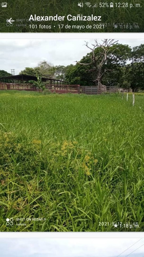 Imagen 9 de 30 de Finca 220 Ha Privadas, Estado Apure
