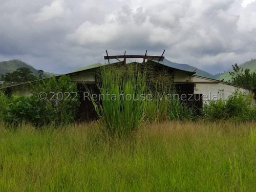 Imagen 7 de 27 de Finca En Venta En Bejuma
