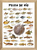 Comprar  Pesca Cuadros Carteles Posters Publicidades    X381
