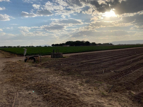 Imagen 2 de 9 de 25-31 Hectáreas En Venta Rancho Medio Kilo