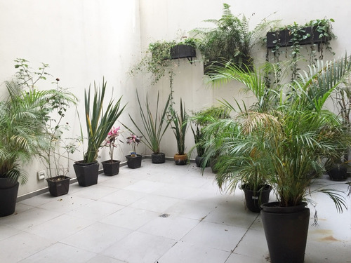 Imagen 2 de 15 de Venta Garden House Polanco