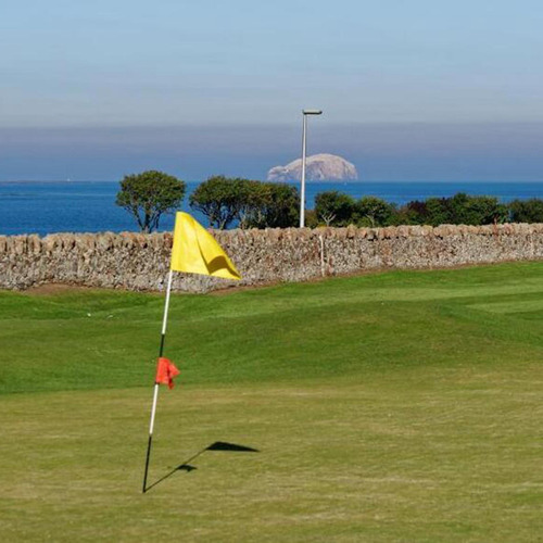 6 Paquete De De Golf Colores, 9.65 Pulgadas De 6 Piezas