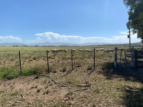 Venta Campo Sierra De La Ventana