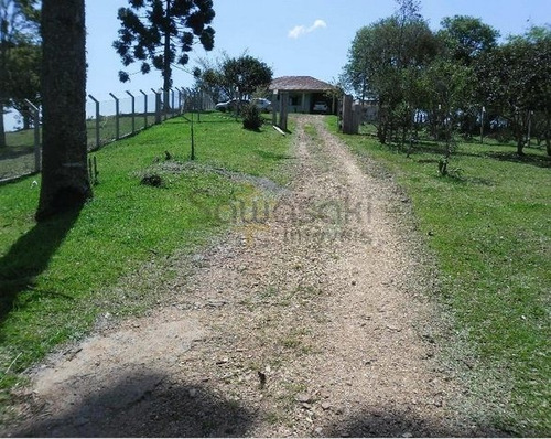 Chácara A Venda No Bairro Pamitalzinho Em Quatro Barras - - 5456-1