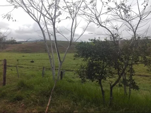 Vendo Finca Ganadera En Restrepo Valle