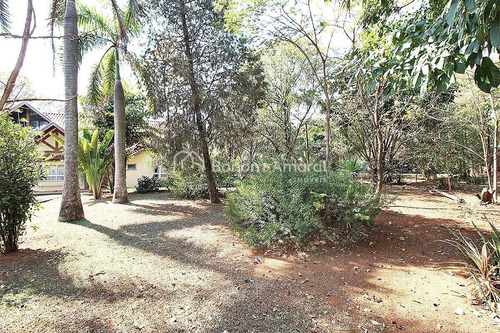 Imagem 5 de 30 de Casa À Venda Em Morumbi - Ca014114