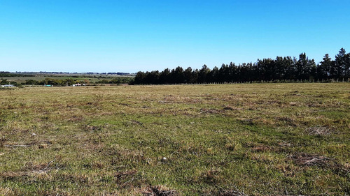Imagen 16 de 18 de Hermosas Chacras Campos De 3 Hectareas En Tala