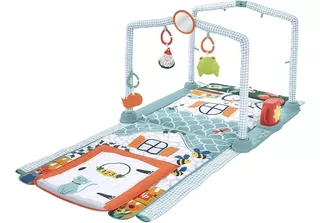 Fisher Price - Ginásio Para Bebês Cabana 3 Em 1