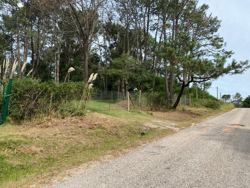 Imagen 7 de 17 de Terreno - Golf