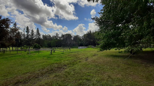 11 Hectáreas Cerca De Minas, Zona Del Campanero