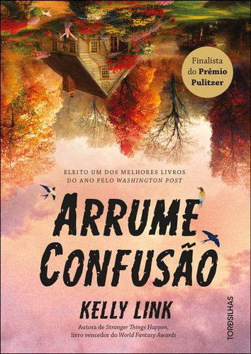 Libro Arrume Confusao De Link, Kelly Tordesilhas