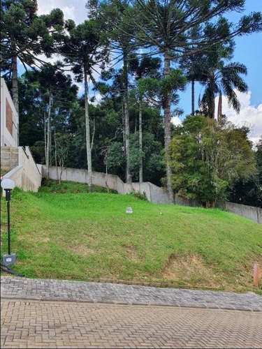 Terreno À Venda, 605 M² Por R$ 450.000,00 - Campo Comprido - Curitiba/pr - Te0197
