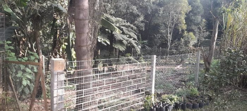 Imagem 25 de 29 de Fazenda À Venda Na Francisco Schena, Roseira, Campina Grande Do Sul - Pr - Liv-17183