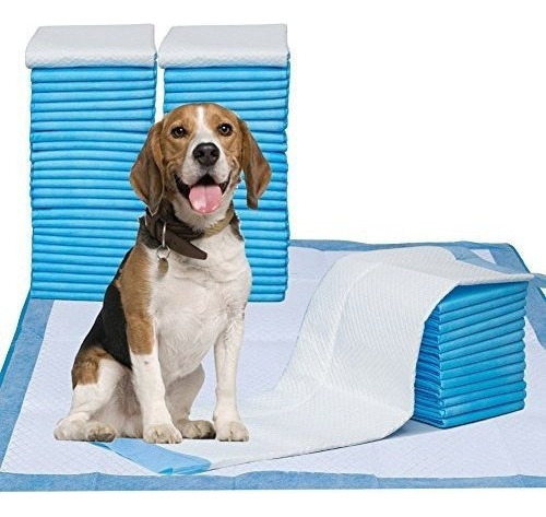 Petphabet Pet Training Puppy Pads 34 X 28 Xxllarge Ultra Abs