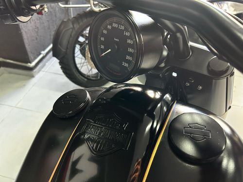 Harley-davidson Fat Boy Flstf 2011 - Segundo Dono - Revisada