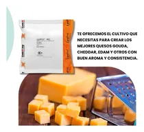 Comprar Fermentos Para Quesos Gouda,cheddar,edam..lyopro Mo-mb 50cxu