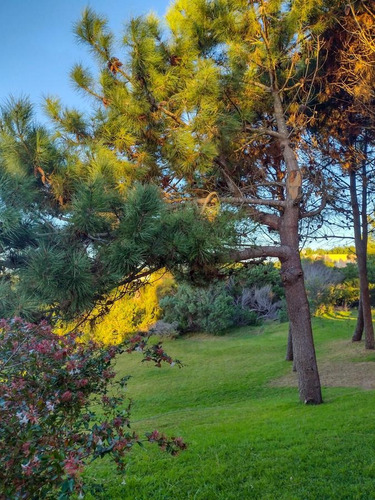 Imagen 12 de 30 de Casa En Venta Residencial Ii 2 - Como Estar En Maritimo I Con Acceso A Pie Al Mar - Costa Esmeralda