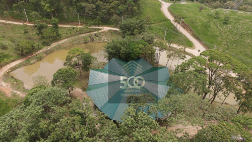 Imagem 10 de 21 de Terreno À Venda, 1000 M² Por R$ 155.000,00 - Varginha - Santo Amaro Da Imperatriz/sc - Te0161