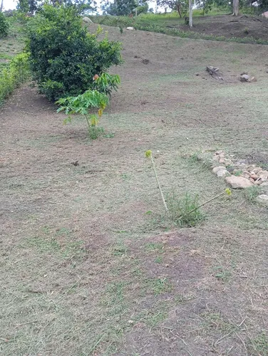 Venta De Lote En Condominio Campestre Altos De Germania