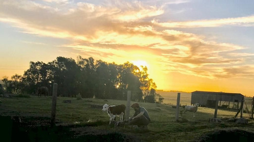 Imagem 11 de 16 de Fazenda 928 Alqueires, Rica Em Água Com Represas, 261 Hectares Em Lavoura, 1895 Hectares Em Pastagem, Pivô, Casas Sede E Funcioarios, Curral - Fa00194 - 70582923