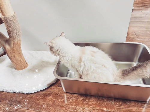 Caja De Arena Para Gatos De Acero Inoxidable Ikitchen, Tamañ