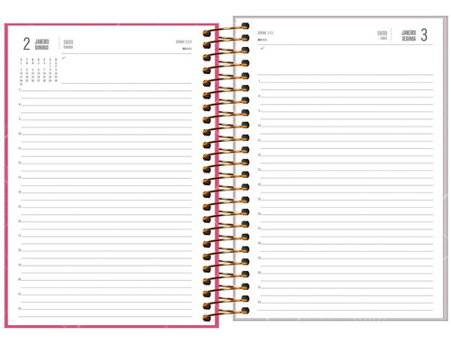 Imagem 4 de 4 de Agenda Executiva Espiral Diária 20 X 27,5 Spot Feminina 2022
