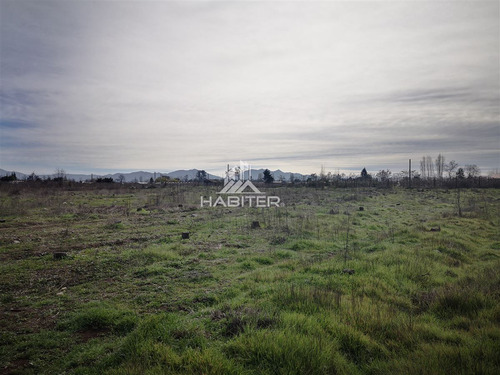 Casa De Campo En Parcela 6.250 M2 A 10 Min De Curicó