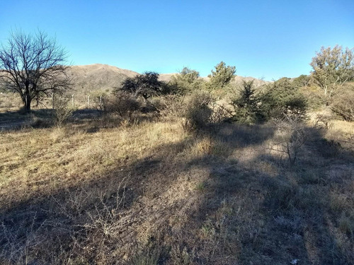 Imagen 9 de 30 de Terrenos En Las Sierras