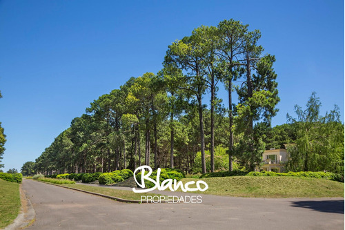 PINARES GOLF & COUNTRY CLUB| LOTES EN EXALTACIÓN DE LA CRUZ!
