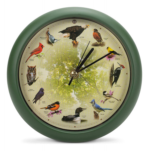 Reloj De Pared De Edición Limitada 20 Aniversario, Pajaros