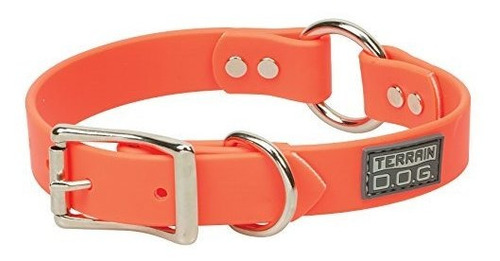 Terrain  Brahma Webb Hunting Dog Collar Blaze Orange, Yaq35