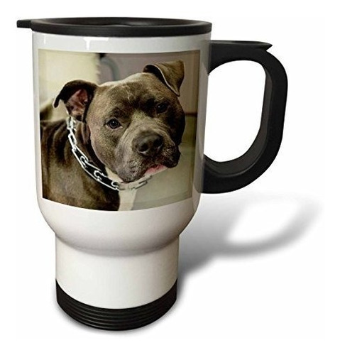 Vaso - 3drose Pit Bull - Taza De Viaje Con Cuello De Cadena,