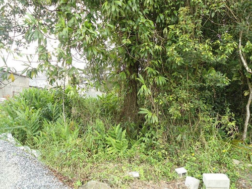 Imagem 6 de 6 de Terreno - Venda - Verde Mar - Itanhaem - Ita2613