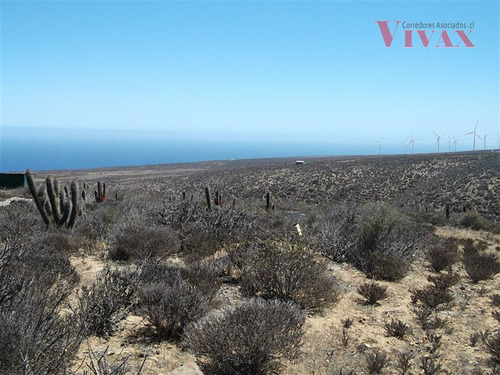 Parcela A La Venta En Costa Dorada - Ovalle