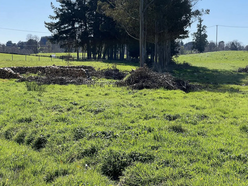 Parcela A Solo 5 Minutos De Osorno